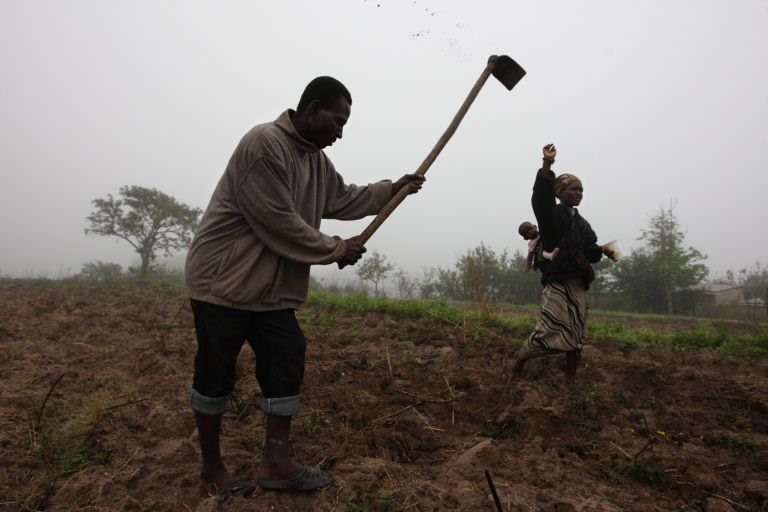 Agricultores guineenses pedem a Presidente solução para compra do caju