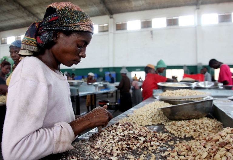 Obrigatoriedade do preÃ§o estÃ¡ a impedir a compra do caju da GuinÃ©-Bissau